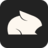 Pika logo - CoolShark