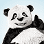 TinyPNG logo - CoolShark