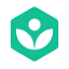 Khan Academy logo - CoolShark