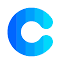 Coolors logo - CoolShark