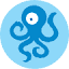 OONI logo - CoolShark