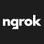 ngrok logo - CoolShark