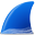 Wireshark logo - CoolShark